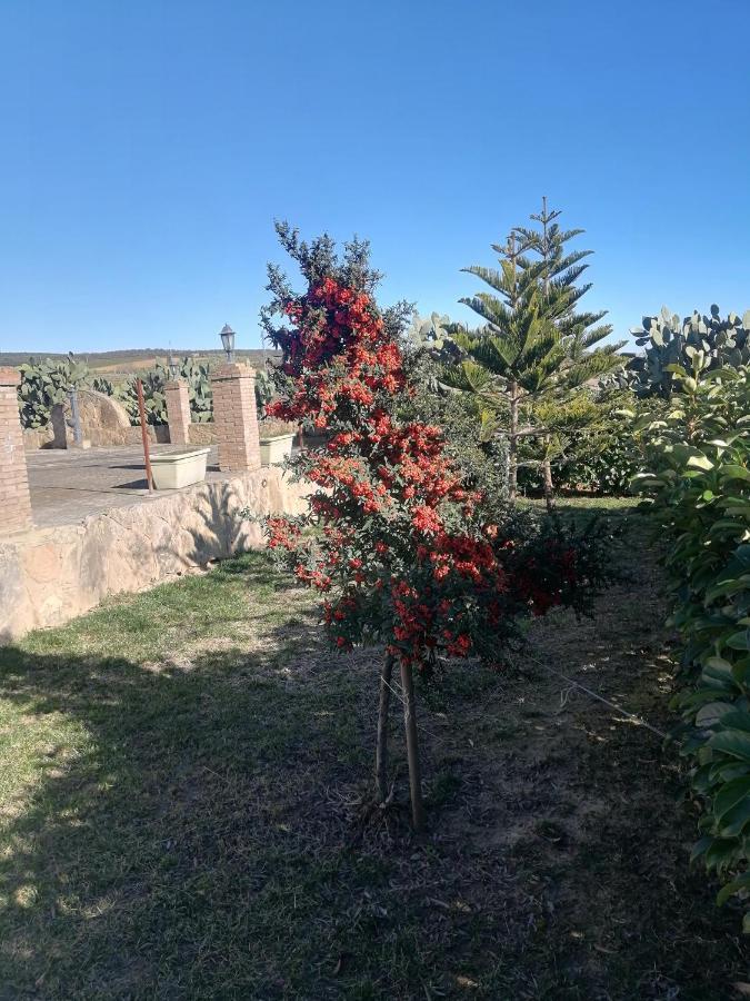Villetta Immersa Nel Verde Piazza Armerina Exterior foto