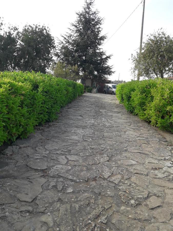 Villetta Immersa Nel Verde Piazza Armerina Exterior foto